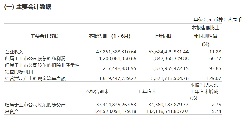 圖片來源：晶科能源半年報截圖