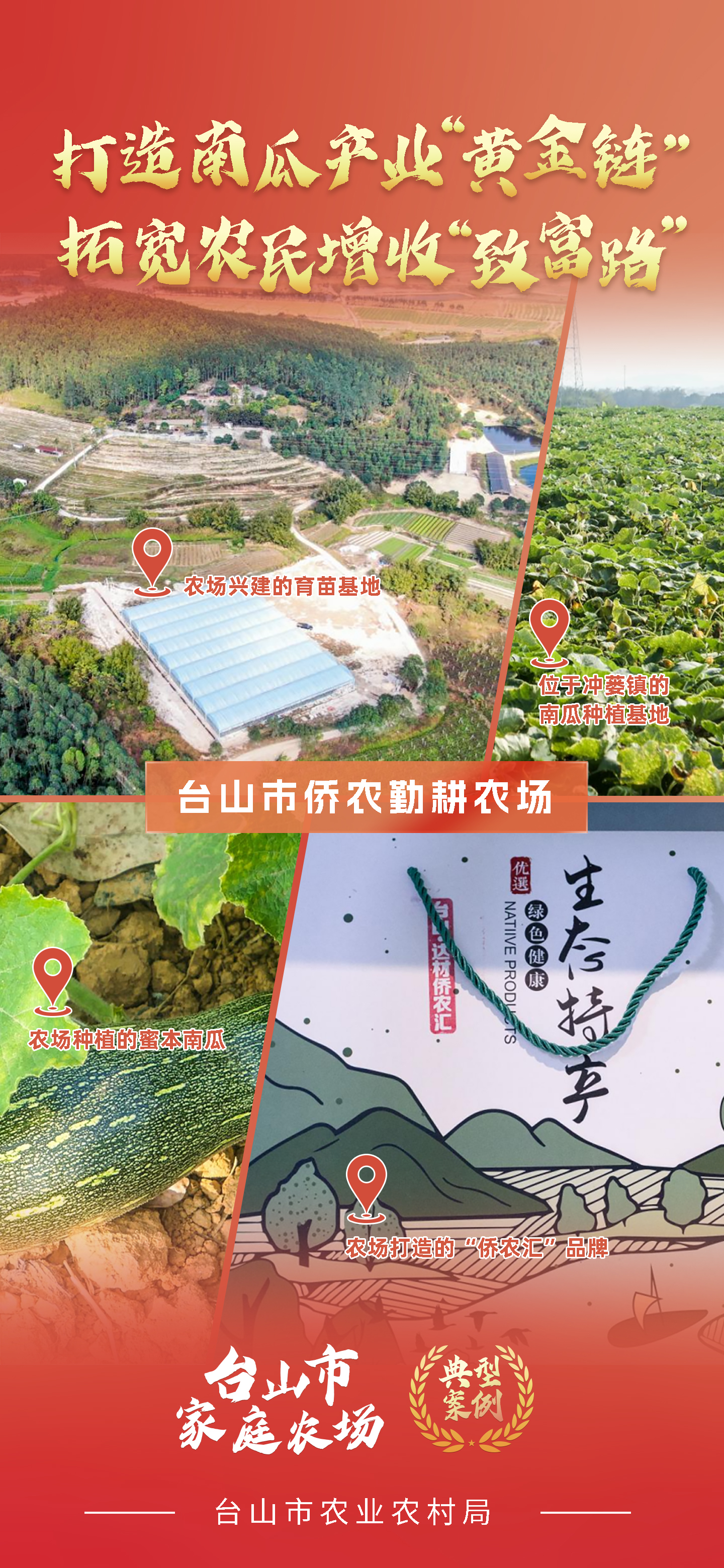 一组海报 带你学习台山市新型农业经营主体典型案例
