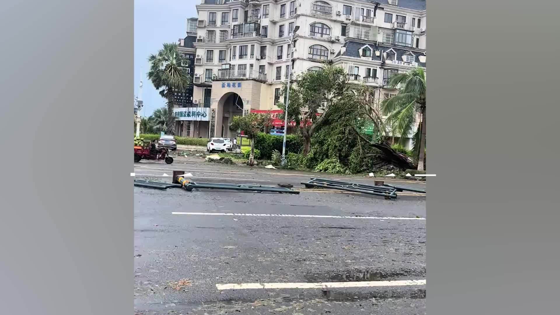 台风过后海南人在路边捡椰子：第一次经历这么大的台风，水电暂时没恢复