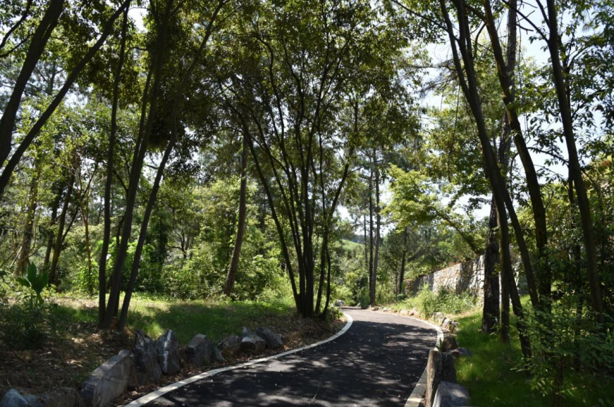 吉安安福县:打造森林旅游新打卡地