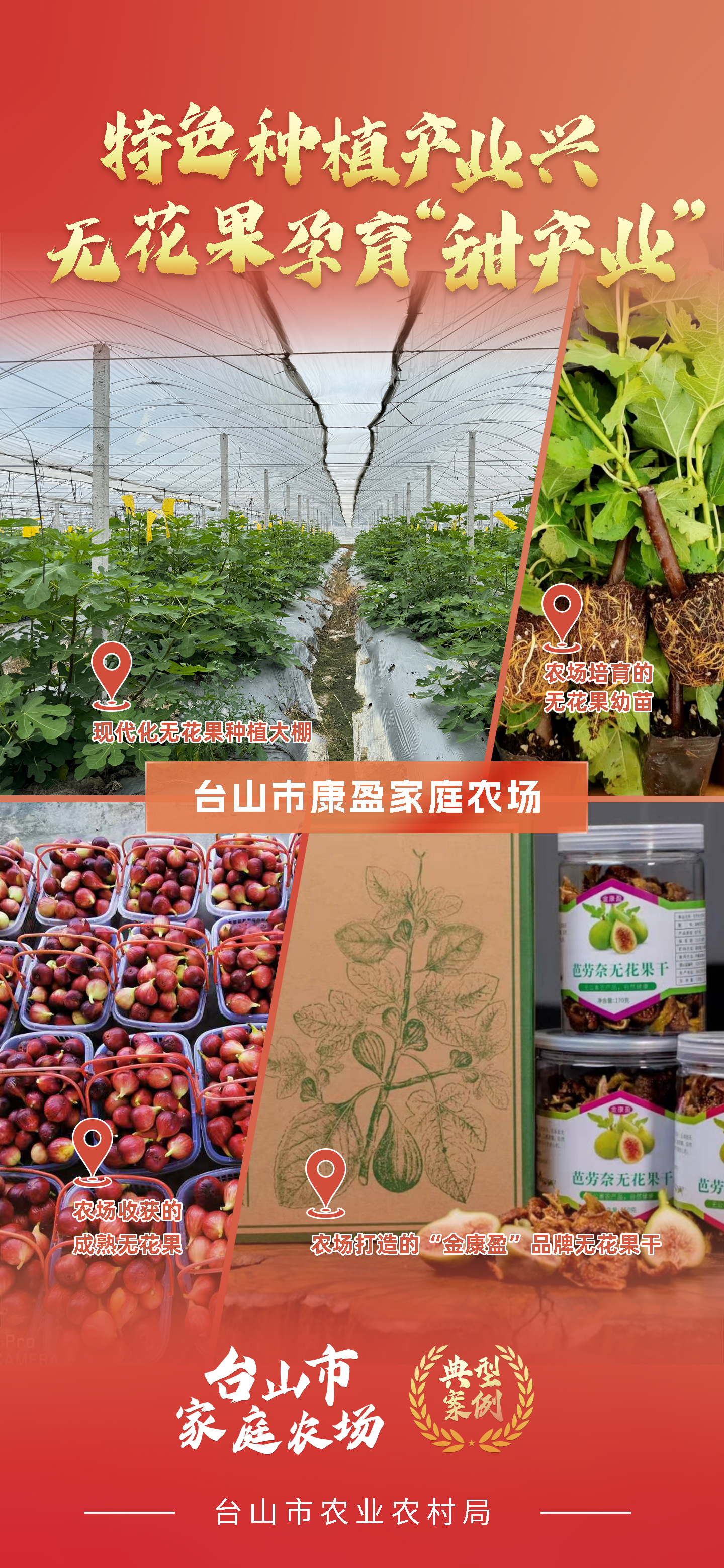 一组海报 带你学习台山市新型农业经营主体典型案例