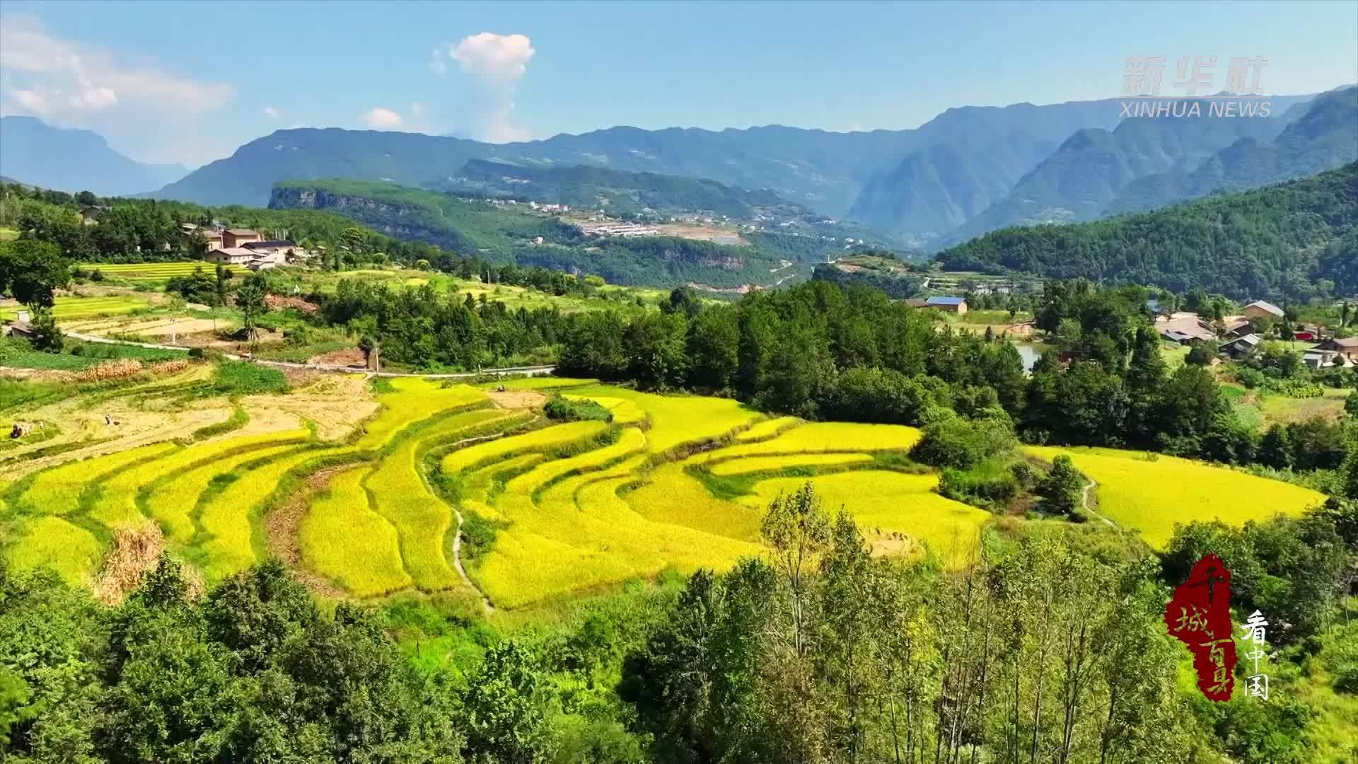 千城百县看中国｜湖北巴东：层层梯田美如画