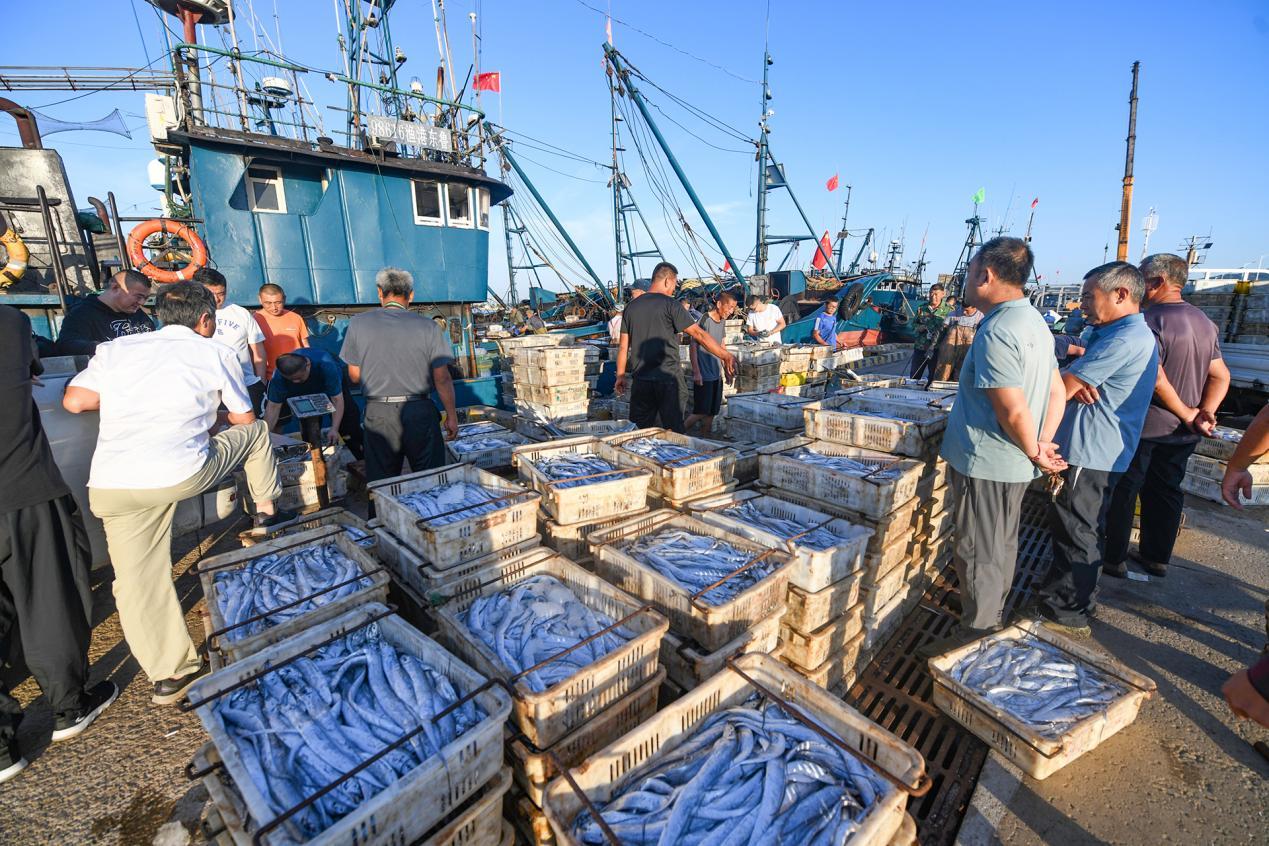 9月3日，成筐的海鲜刚被卸下，市民们就迫不及待的争先挑选。刘晶 摄