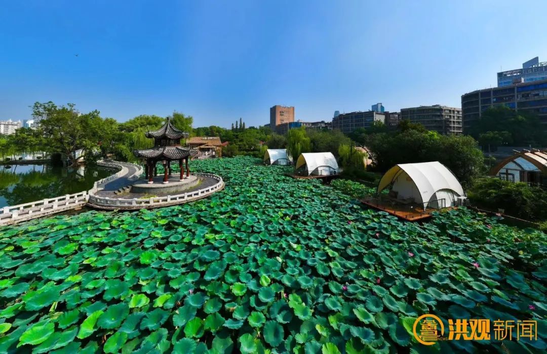 休闲好去处!南昌八一公园有新变化(图)