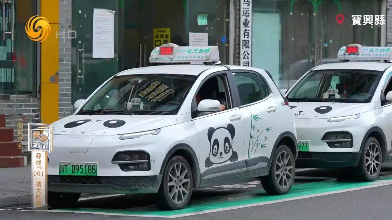 安逸走四川，熊猫看雅安，大熊猫文化渗透在这座城市中的每个角落