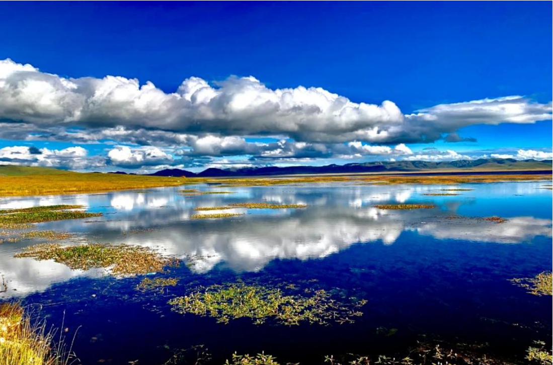 碌曲县尕海湖一景(资料照片)