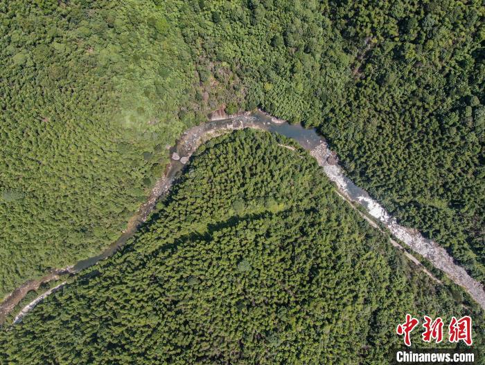 9月2日,航拍位于江西赣州崇义县的齐云山国家级自然保护区,只见漫山翠绿,重峦叠嶂,山谷之中稻田、村落分布,风景秀美。齐云山国家级自然保护区总面积17105公顷,森林覆盖率高达97.6%,保存有南岭山地区原生性南亚热带与中亚热带过渡的常绿阔叶林森林生态系统,是中国生物多样性保护的关键地区。(无人机照片)中新社记者 刘力鑫 摄