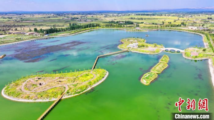 图为航拍临泽县沙河镇曹家湖景象　安学海　摄