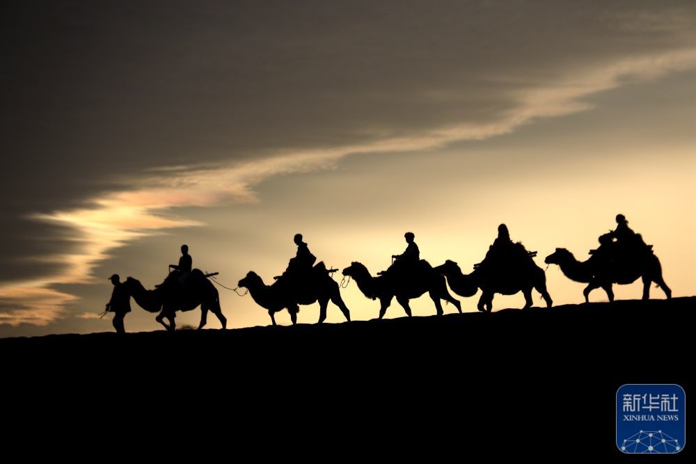 ↑9月1日清晨，游客在甘肃省敦煌市鸣沙山月牙泉景区乘骑骆驼，欣赏大漠风光，体验丝路风情。