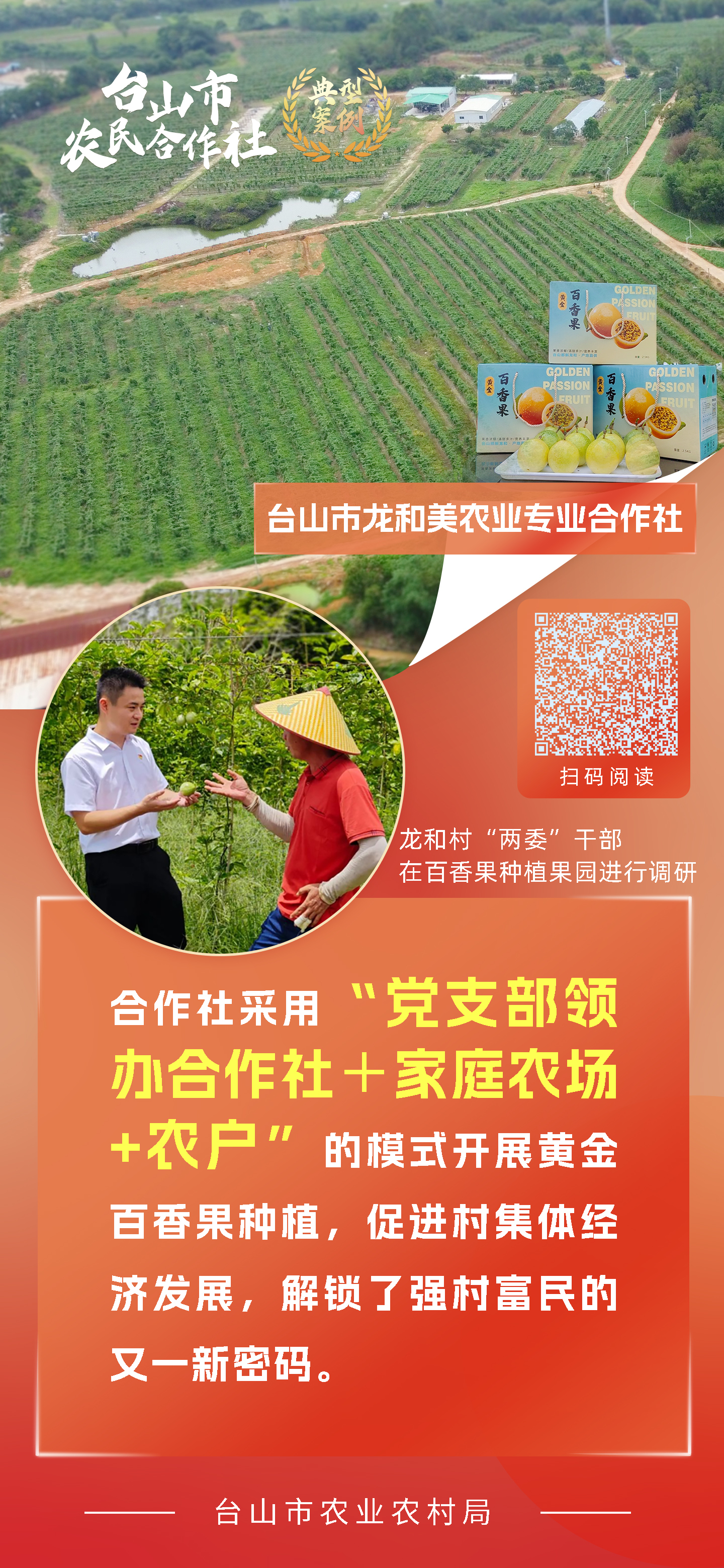 一组海报 带你学习台山市新型农业经营主体典型案例