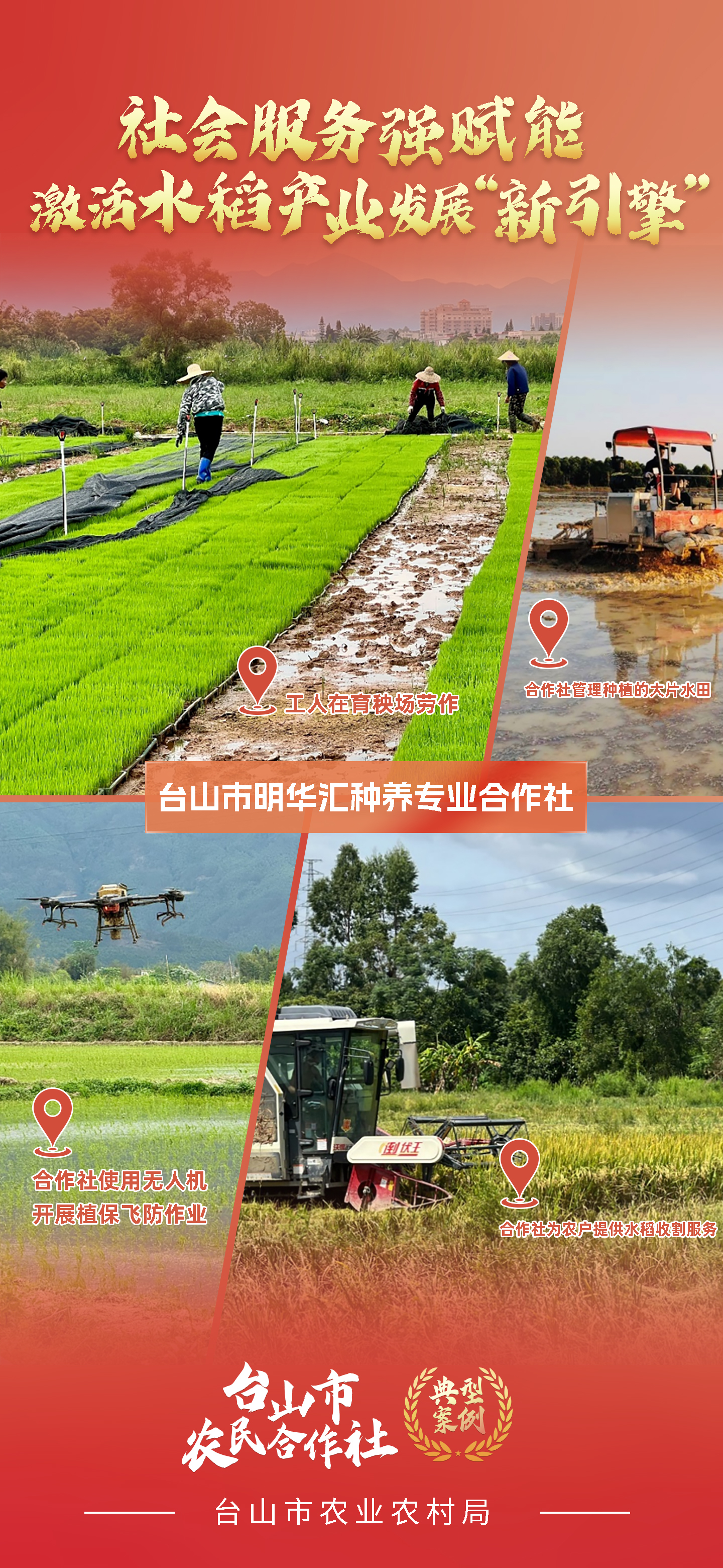 一组海报 带你学习台山市新型农业经营主体典型案例