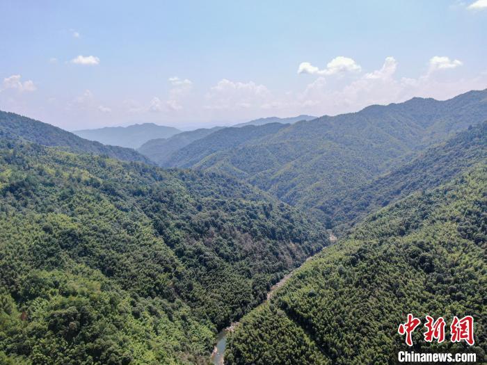 9月2日,航拍位于江西赣州崇义县的齐云山国家级自然保护区,只见漫山翠绿,重峦叠嶂,山谷之中稻田、村落分布,风景秀美。齐云山国家级自然保护区总面积17105公顷,森林覆盖率高达97.6%,保存有南岭山地区原生性南亚热带与中亚热带过渡的常绿阔叶林森林生态系统,是中国生物多样性保护的关键地区。(无人机照片)中新社记者 刘力鑫 摄