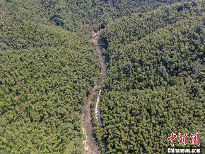 9月2日,航拍位于江西赣州崇义县的齐云山国家级自然保护区,只见漫山翠绿,重峦叠嶂,山谷之中稻田、村落分布,风景秀美。齐云山国家级自然保护区总面积17105公顷,森林覆盖率高达97.6%,保存有南岭山地区原生性南亚热带与中亚热带过渡的常绿阔叶林森林生态系统,是中国生物多样性保护的关键地区。(无人机照片)中新社记者 刘力鑫 摄