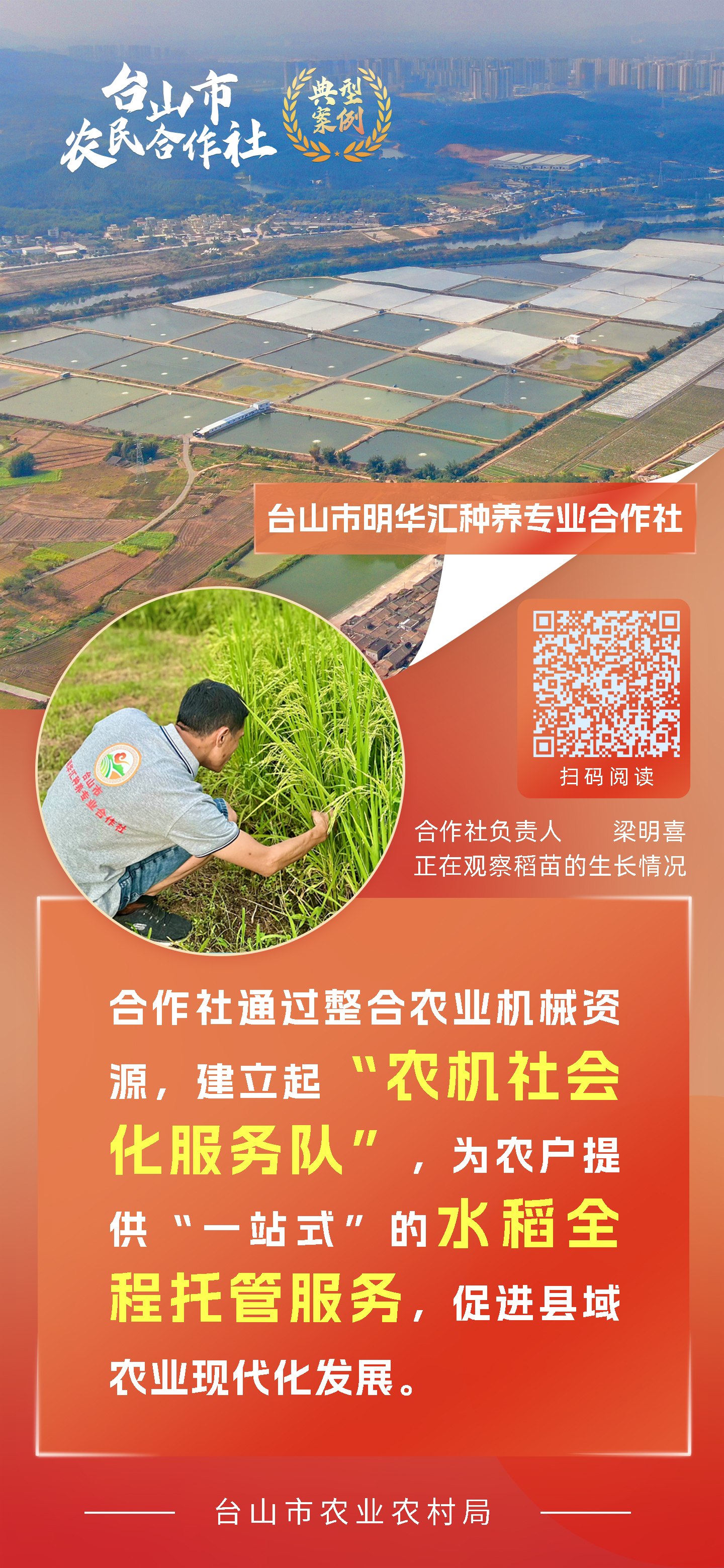 一组海报 带你学习台山市新型农业经营主体典型案例