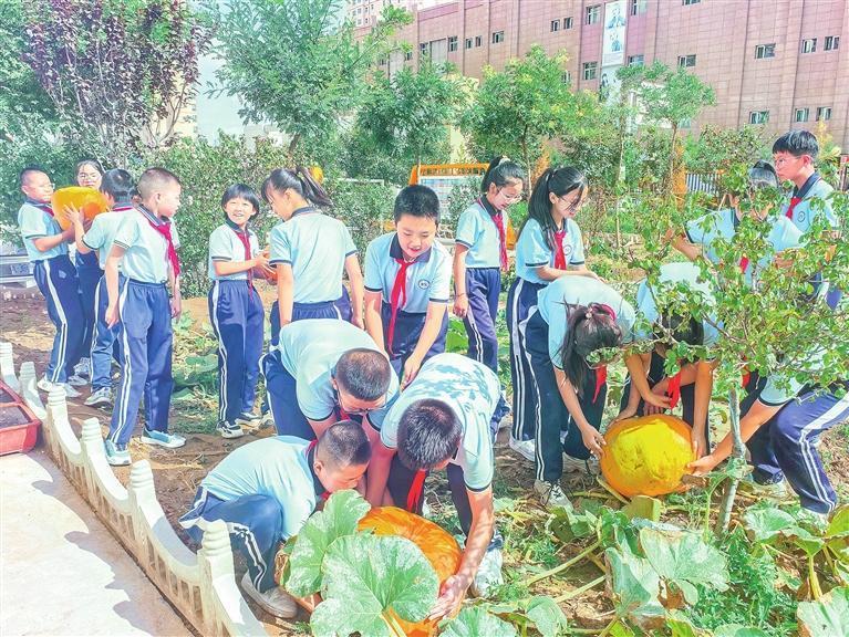 近年来，新区第四小学深入开展劳动教育实践课，在校园开辟劳动实践小田园，种植各类瓜果蔬菜，将“五育”融合的实践场地由教室拓展到整个学校。开学第一天，新区第四小学的孩子们发现，上学期大家亲手种植的南瓜丰收了！图为孩子们在摘南瓜。兰州新区报记者　姜波　摄