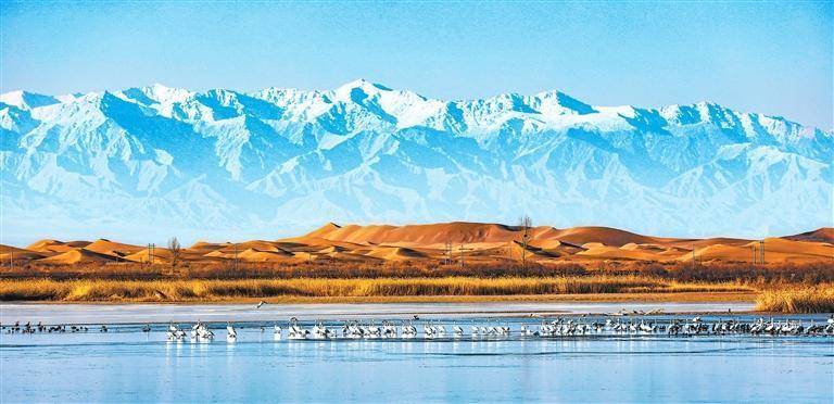 祁连山黑河湿地　朵新胜
