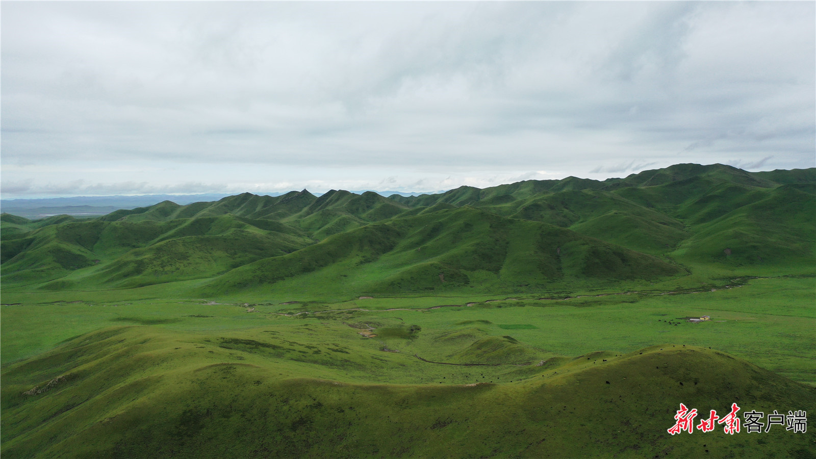 甘南草原雄浑壮美