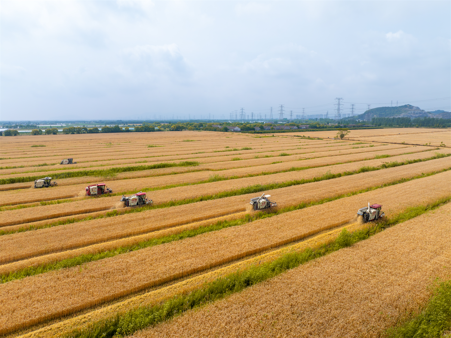 从“稻”古情深到未来“田”景：宁波向“新”而行，全力推动现代农业高质量发展