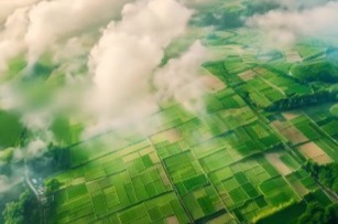 中国农业银行湖南省分行2025年度校园招聘公告