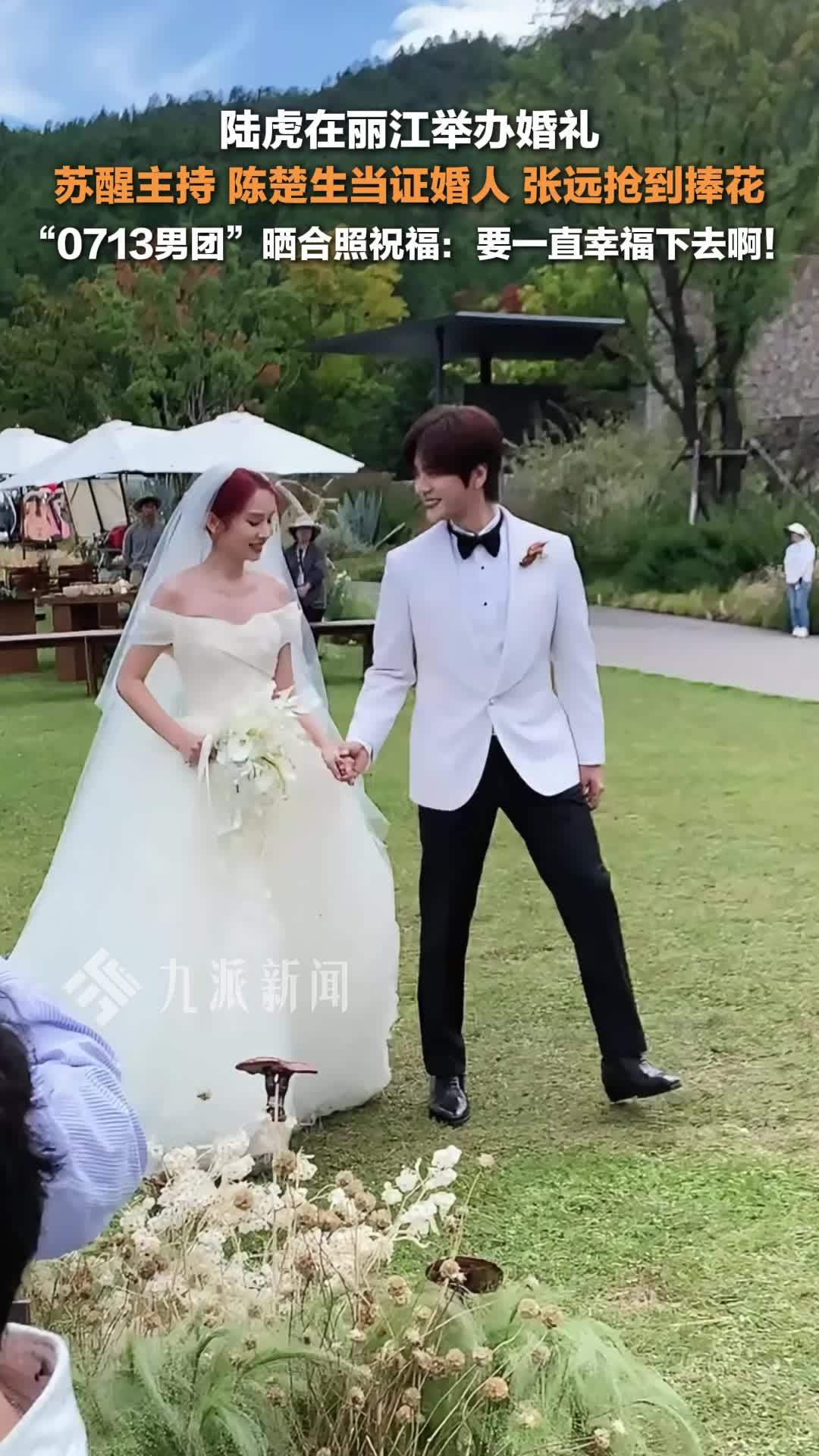 陆虎陈曌旭婚礼，苏醒主持，陈楚生当证婚人，张远抢到捧花，0713男团晒合影祝福