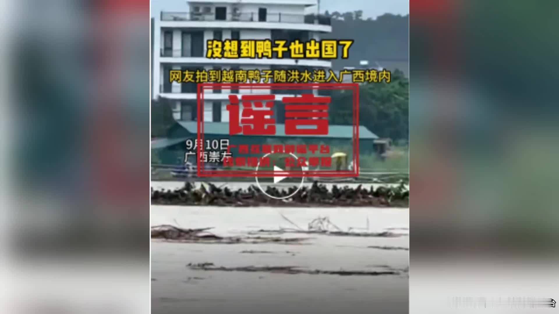 官方辟谣“越南鸭子随洪水漂流至广西崇左”：不实，但崇左土鸭管够