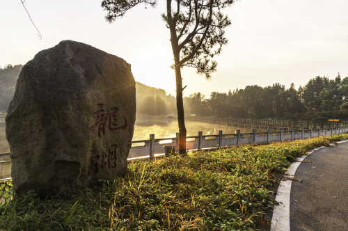 夏秋交替失眠多發，仲景歸脾丸養血安神祝好眠