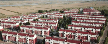 这条母亲河　总书记深情牵挂