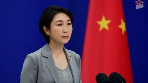 毛宁罕见评论马来西亚调查中马文件泄密事件，菲律宾是何居心？