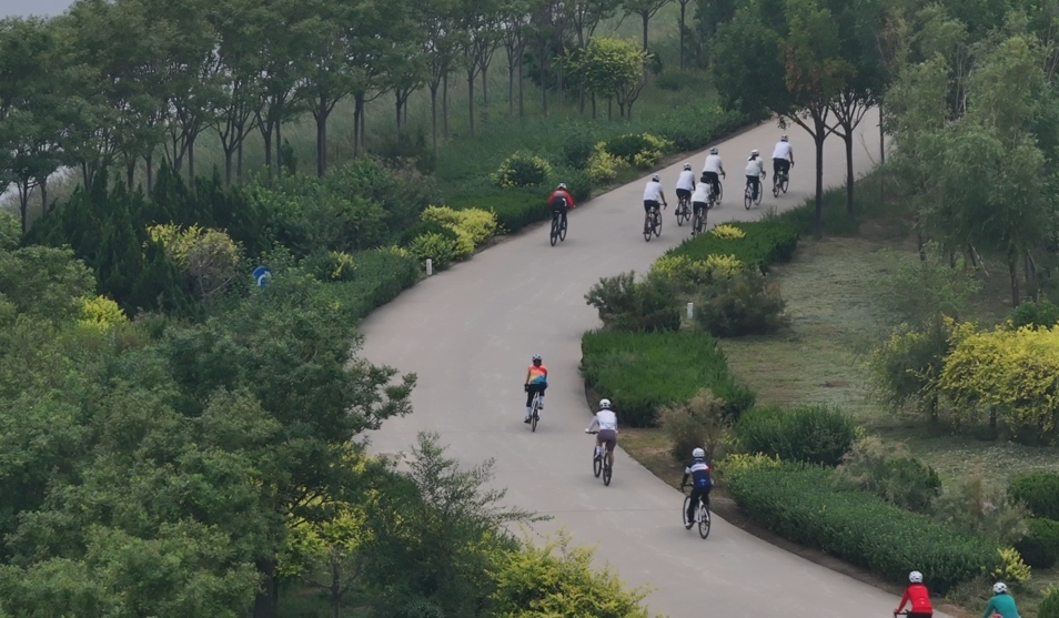 共享湿地生态之美：沧州南大港产业园区首届全民健身骑行季活动启动