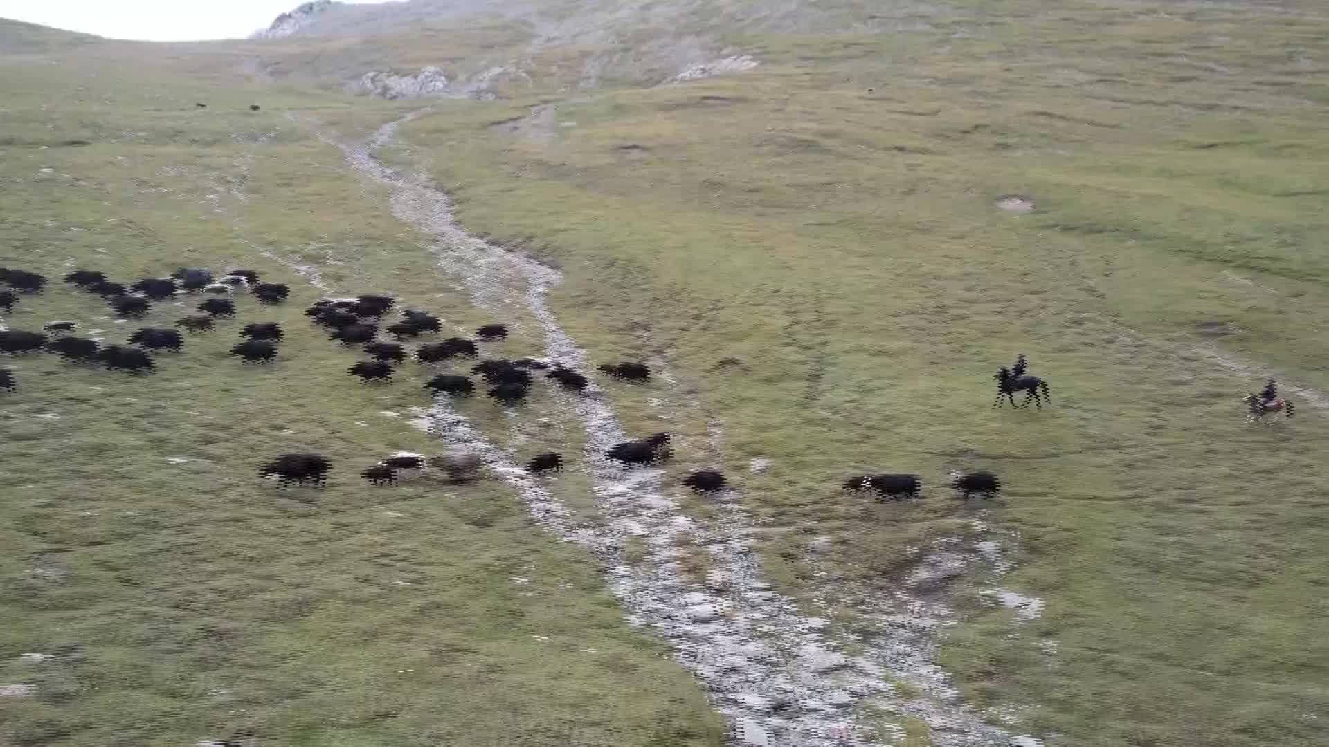 巡边踏查 跟着移民管理警察邂逅边境之美