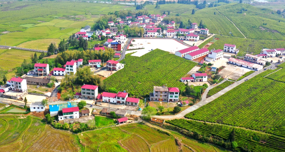 景德镇浮梁县：因地制宜打造“四融一共”和美乡村