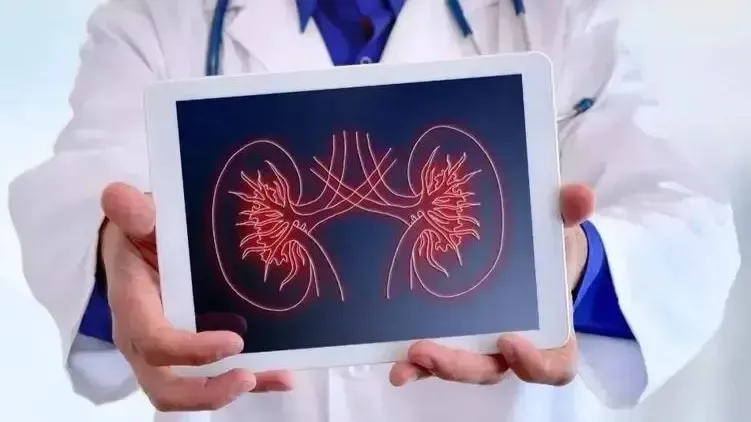 生活作息和饮食不规律，经常奔波劳累，将导致肾脏的损伤