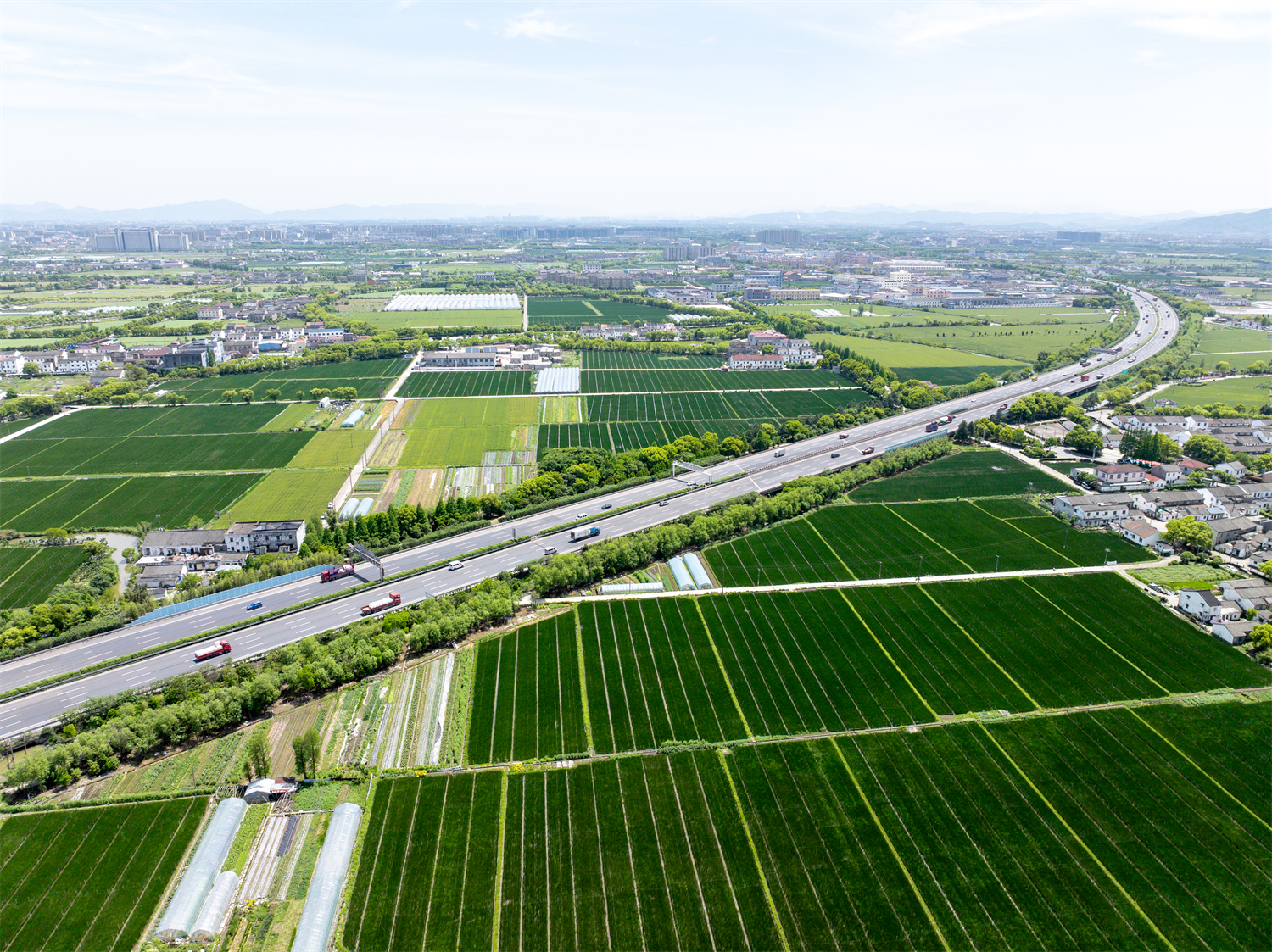 从“稻”古情深到未来“田”景：宁波向“新”而行，全力推动现代农业高质量发展