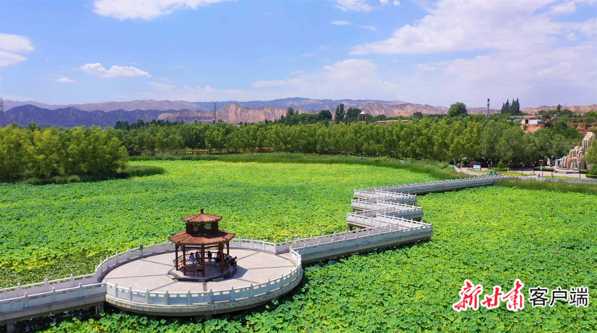 经过多年生态综合治理，白银水川黄河湿地环境显著改善。