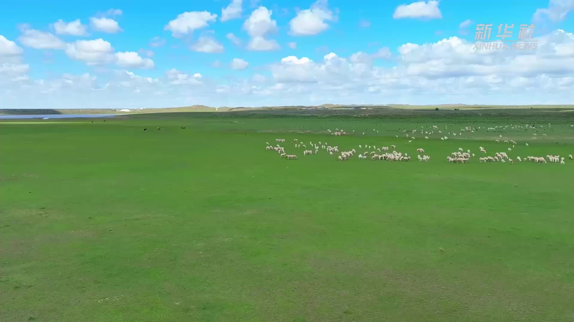 60秒带您看乌拉特草原