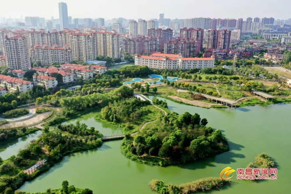 南昌：湿地公园美如画（图）