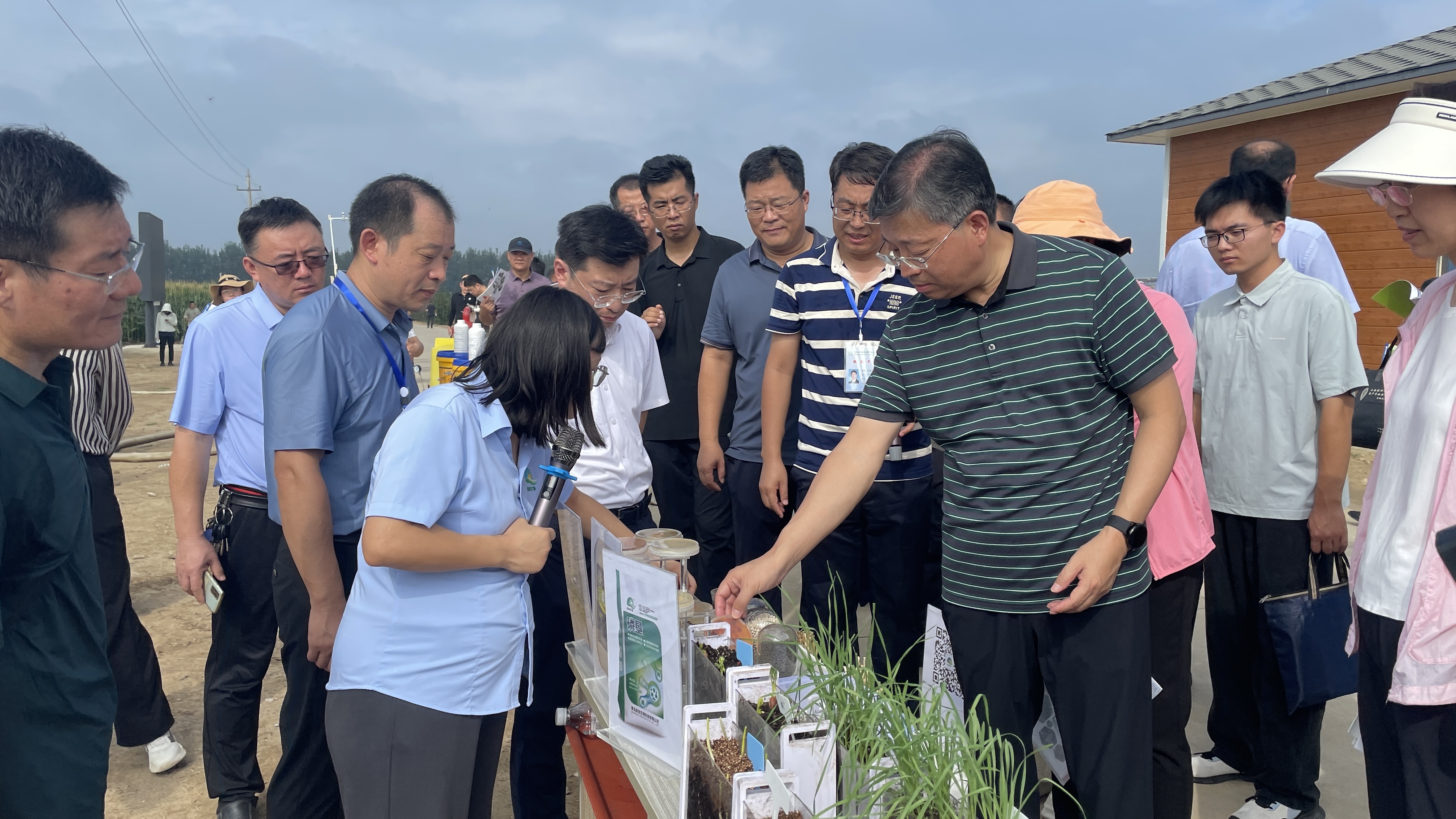 青岛市举行小麦玉米精准滴灌绿色增粮集成技术现场观摩活动