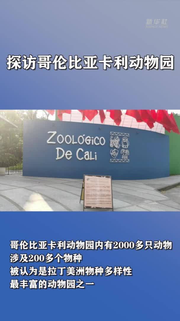 探访哥伦比亚卡利动物园