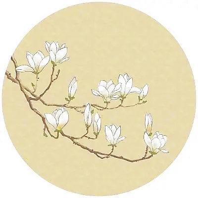 白玉兰