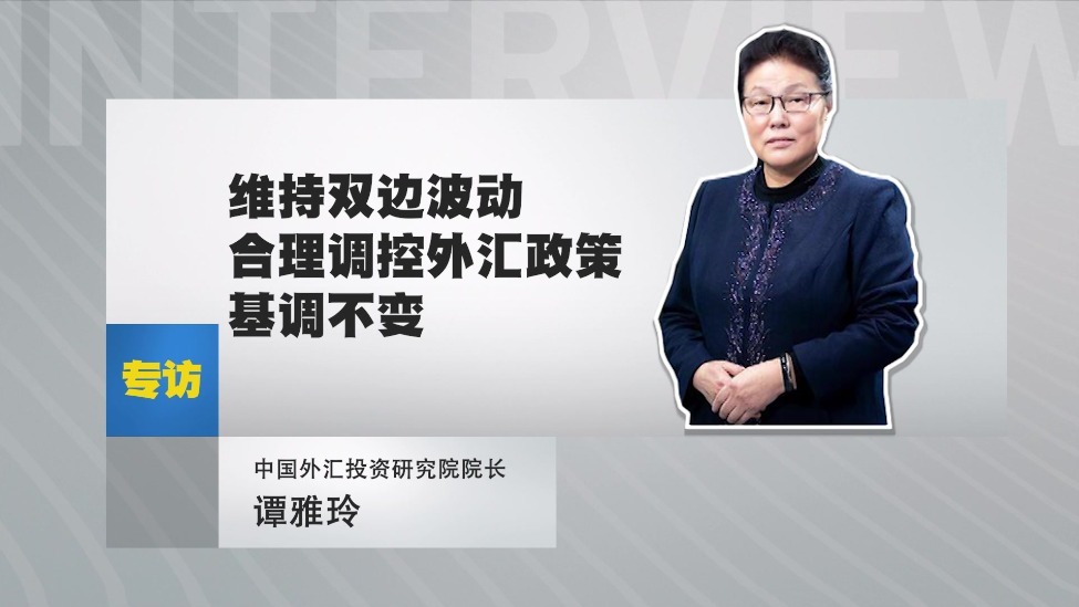 专访中国外汇投资研究院院长 谭雅玲：维持双边波动合理调控外汇政策基调不变