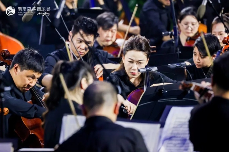 特稿·梁平｜2024南京森林音乐会首演：大雨涤荡尘埃，鸽子登高望“乐”，曲终人不散……