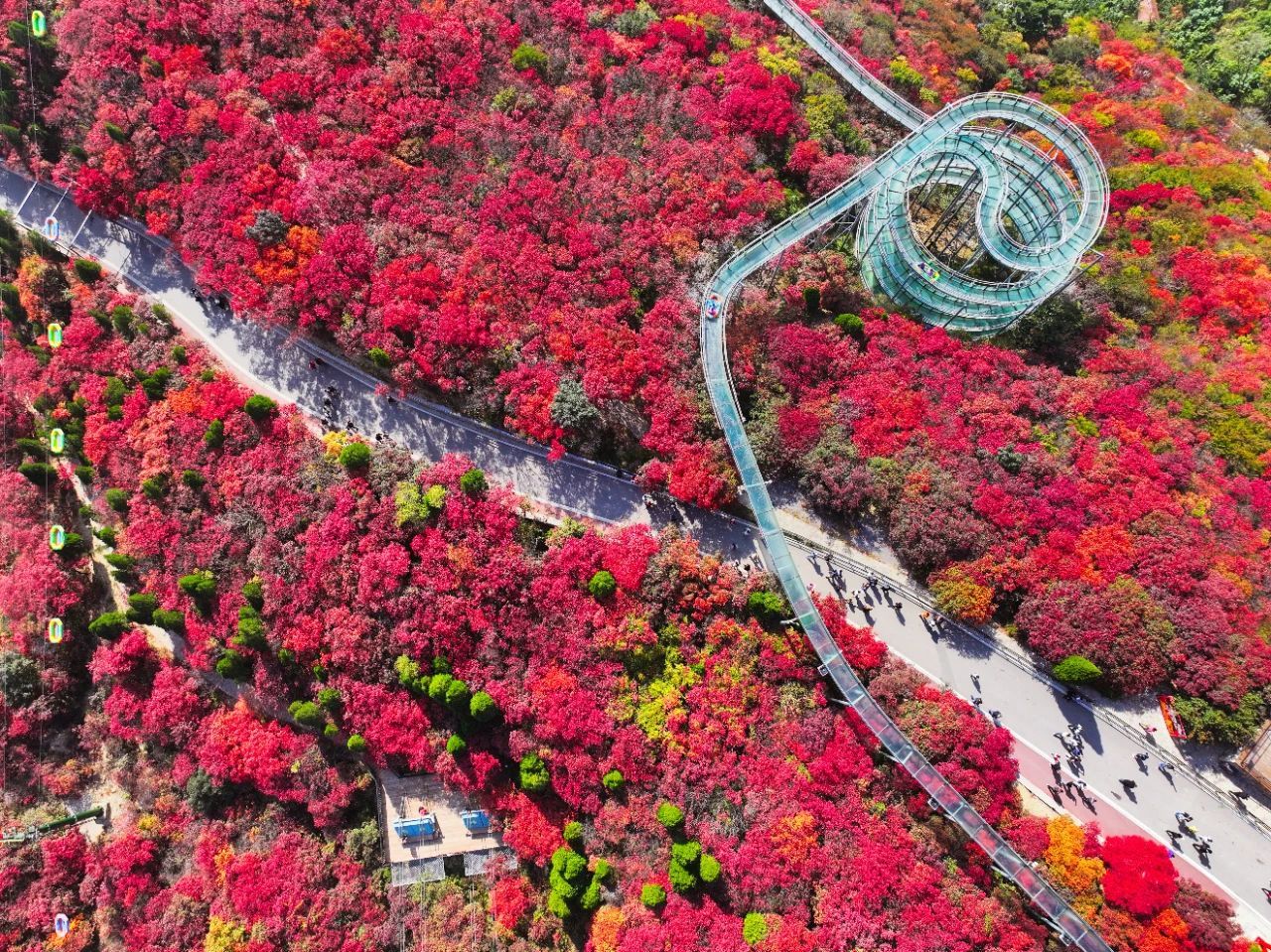 本图片来源于山东文旅红叶柿岩旅游区公众号