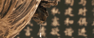 这条母亲河　总书记深情牵挂