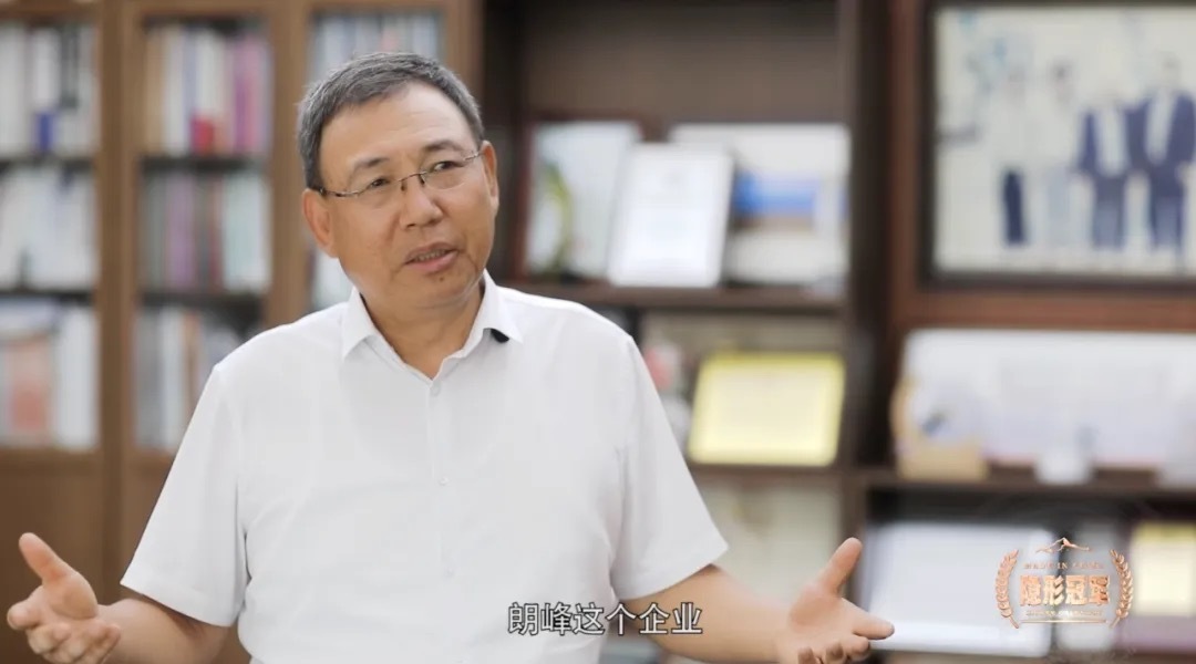 新望 中制智库理事长兼研究院院长