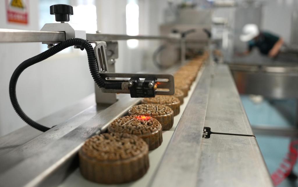 山东省新泰市翟镇一家食品生产企业的月饼生产线（8月14日摄）。新华社记者徐速绘 摄