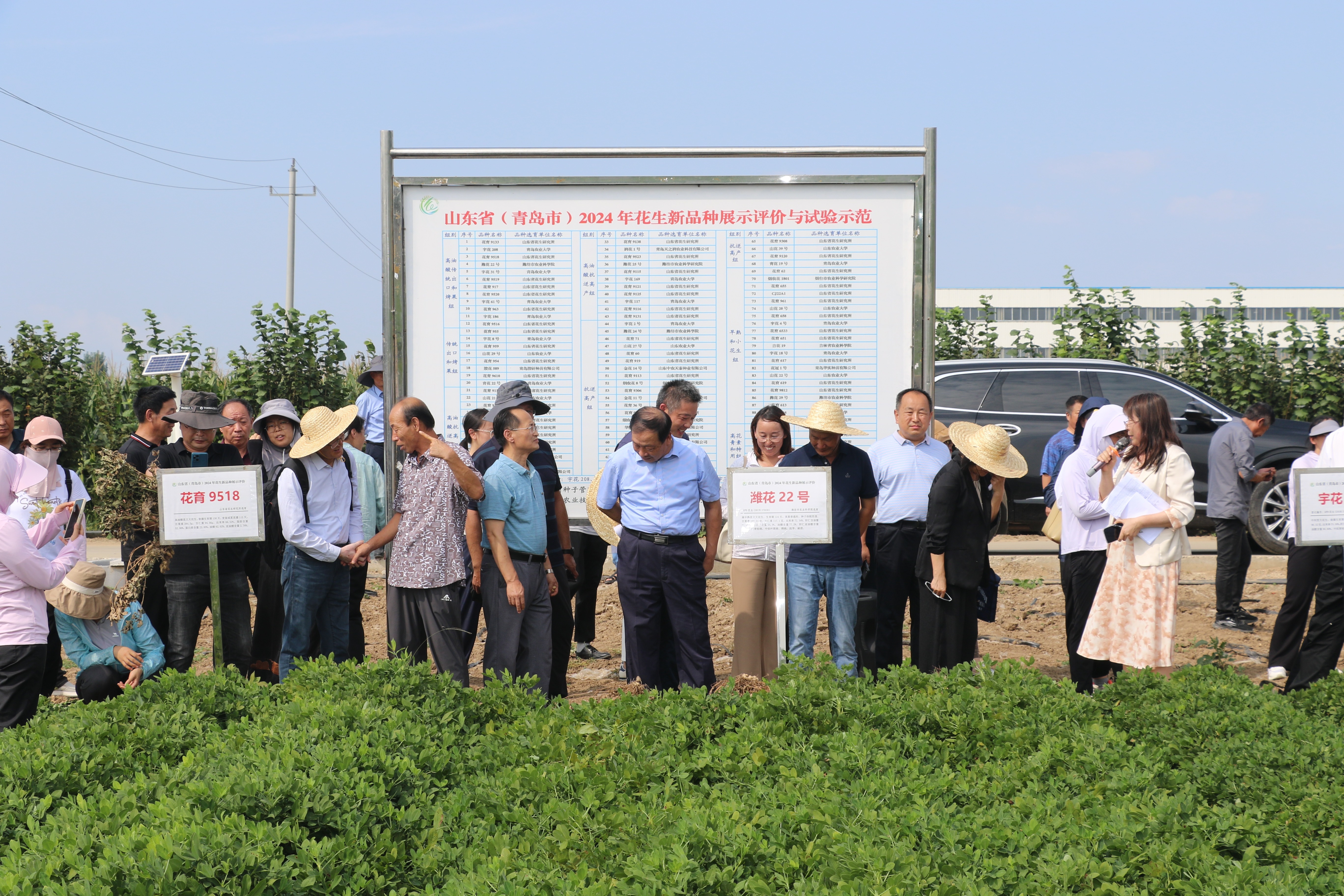 良种良法助力“绿色增粮”  青岛市绿色增粮玉米、花生、大豆新品种新技术观摩活动举行