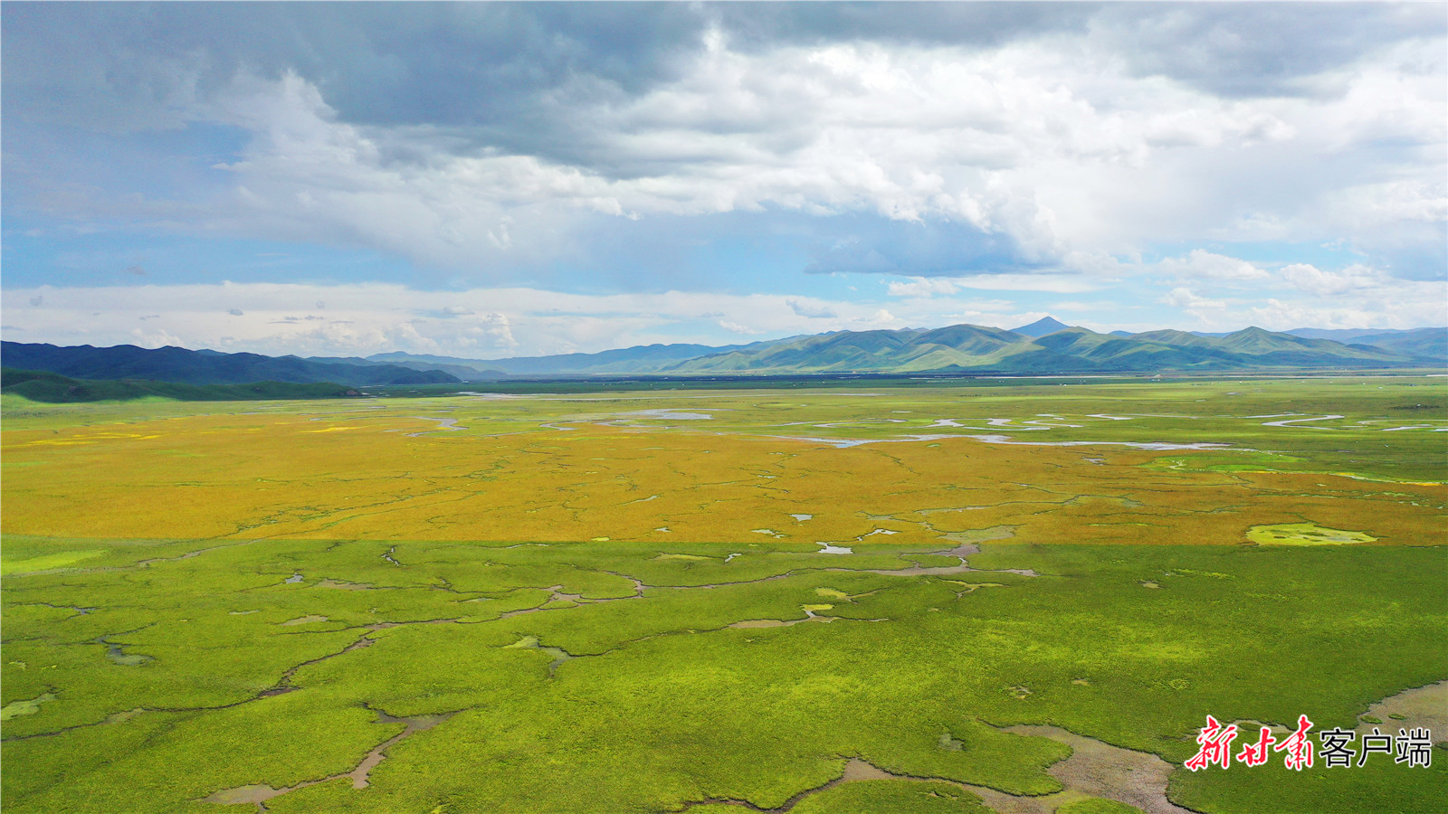 阿万仓湿地壮美辽阔
