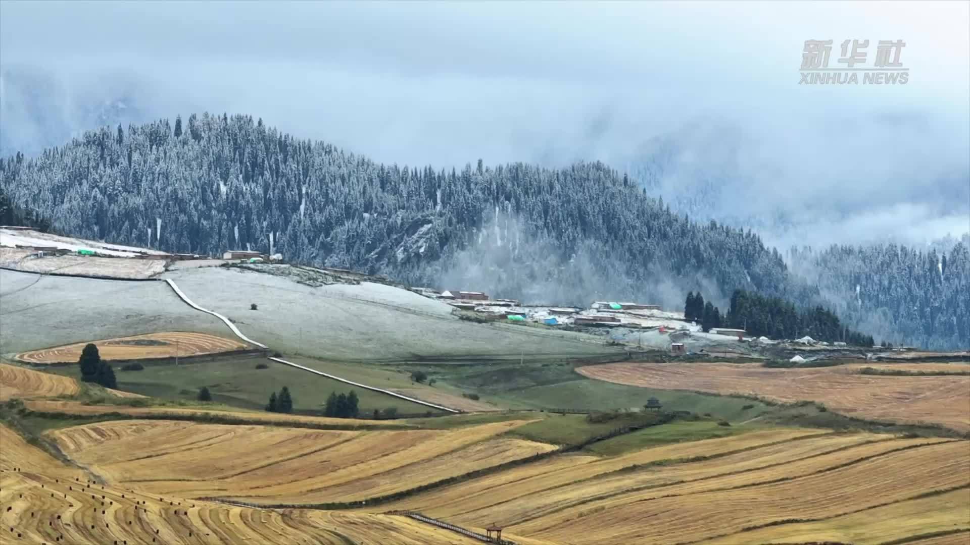 千城胜景｜新疆奇台江布拉克秋韵与初雪邂逅