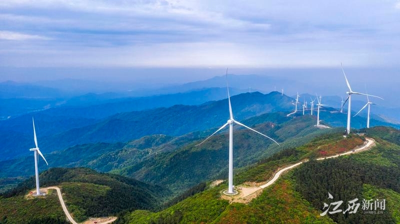 江西首个CCER造林碳汇项目落户铜鼓