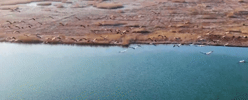 这条母亲河　总书记深情牵挂